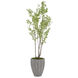 Rocky Decorative Plant