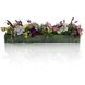 Organic Garden Florals