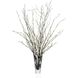 Smoky Willows Botanical/Floral