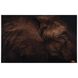 Rodney Bursiel's All Ears 72.87 X 45.87 inch Giclee