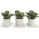 Marble Decorative Plant