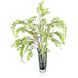 Aspine Button Leaf Botanical/Floral