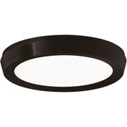 Flush Mounts