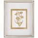 Botanicals IV Golden Wall Decor, Giclees