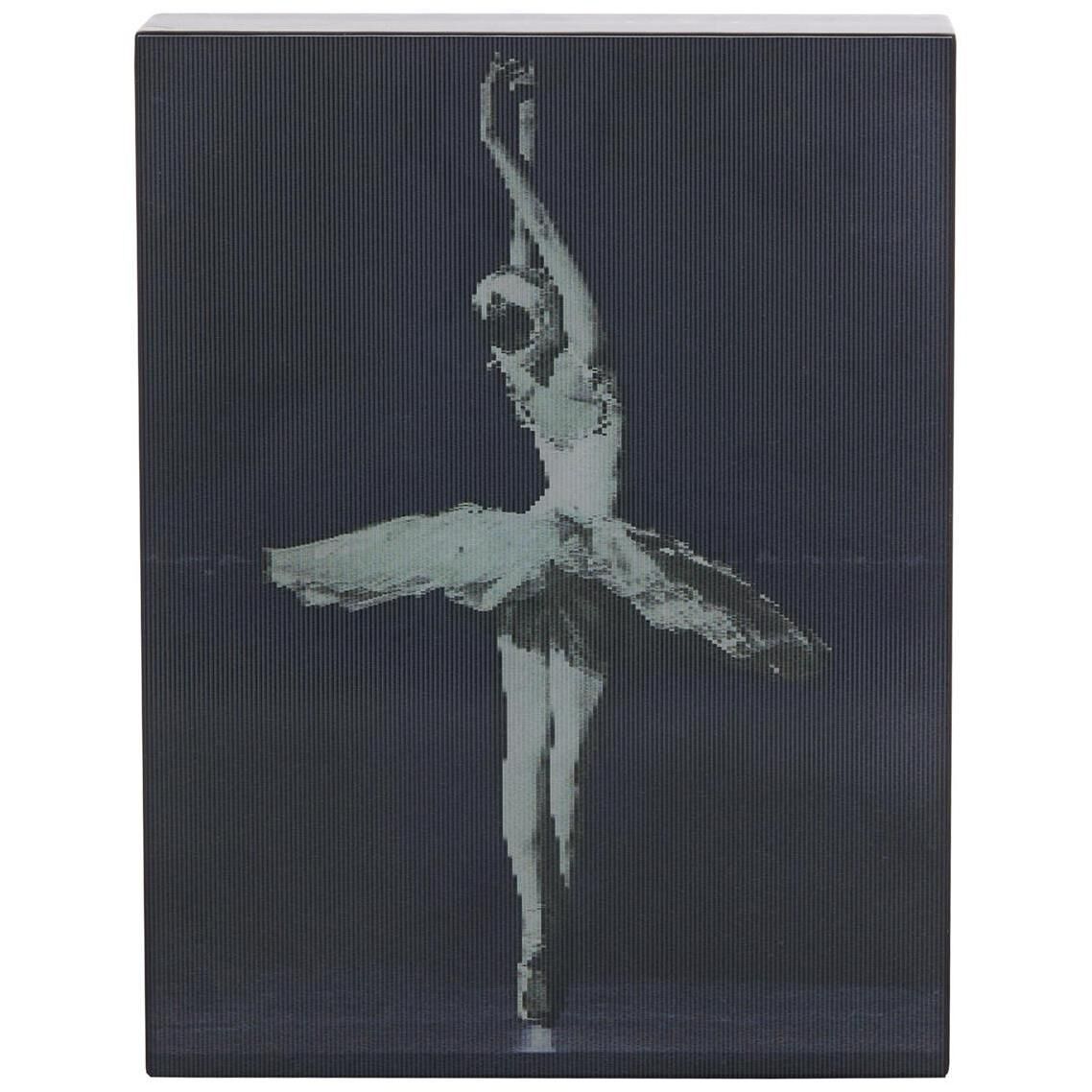 Tony Fey's Perfect Poise 11 X 8.5 inch Oils and Original Art