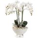 Orchids White Botanical, Fresh Water Look