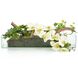 Woodland Wonders Botanical, Florals