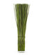 Elephant Reed 37 X 14 inch Sculpture