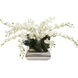 Dendrobium Decorative Flower
