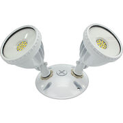 Landscape Lighting
