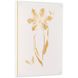 Gilded Tulips Shadowbox