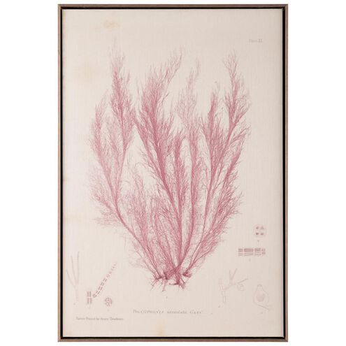 Henry Bradbury's Ocean Gardens Giclees, Polysiphonia