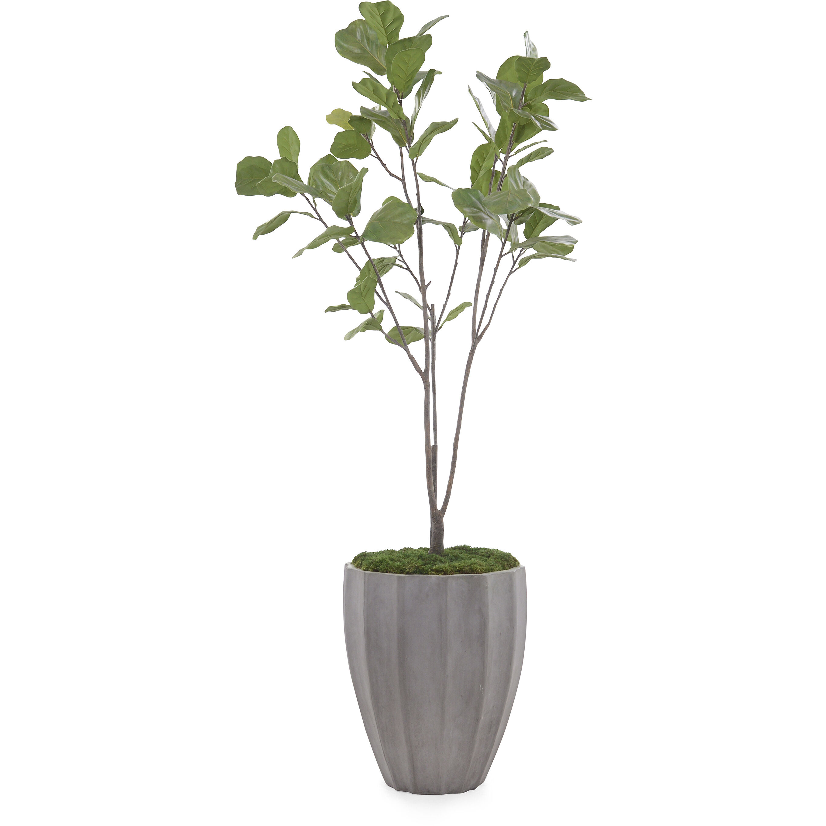 Leah Decorative Plant