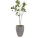 Leah Decorative Plant