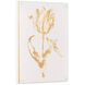 Gilded Tulips Shadowbox