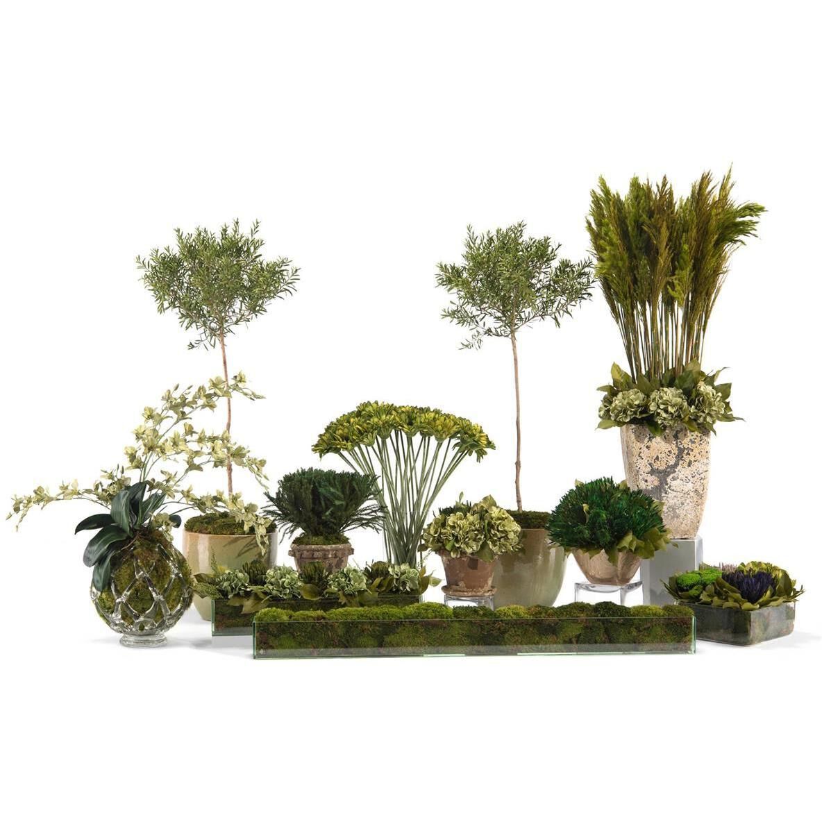 Leah Green Decorative Plant