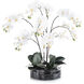 Midnight Decorative Flowers