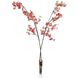 East Coast Cherries Floral