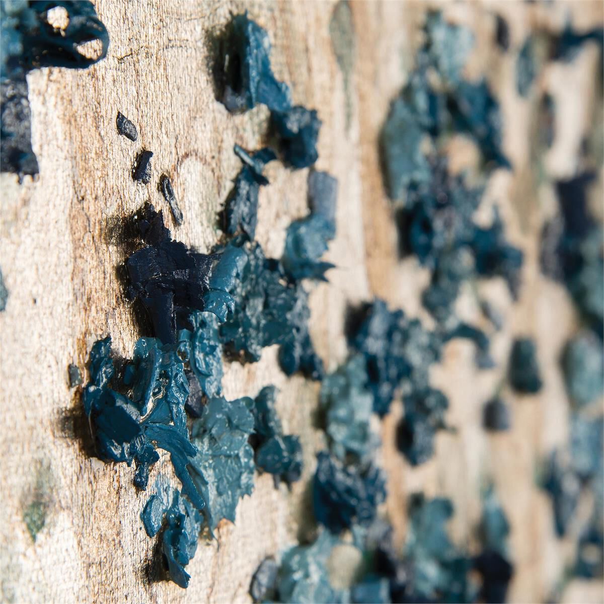 Teng Fei Wall Art, Dogwood