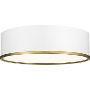 Arlo 4 Light 20.25 inch Flush Mount