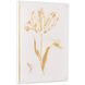 Gilded Tulips Shadowbox