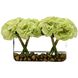 Green Apple Roses Botanical/Floral