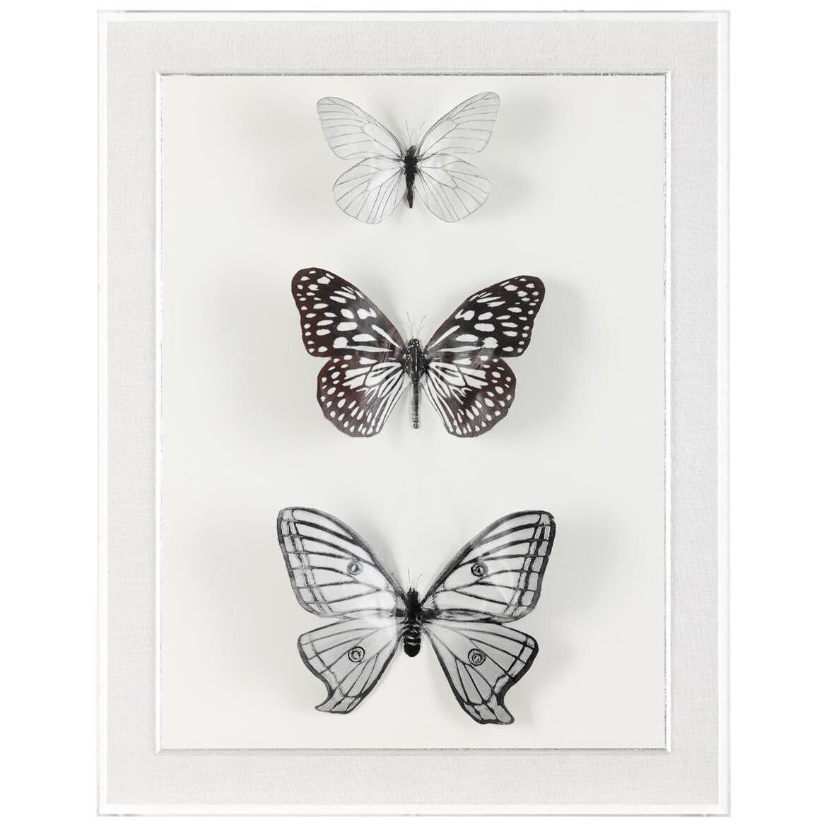 Whispers of Time 46.12 X 36.12 inch Giclee