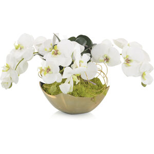 Fallen Decorative Orchid