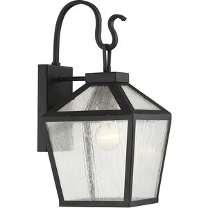 Woodstock Outdoor Wall Lantern