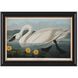 Audubon Collection Group 20.75 X 14.75 inch Giclee, I-C