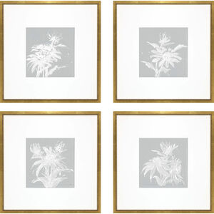 Echinacea / Leaf Study Blue and White Framed Art