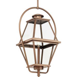 Bradshaw 1 Light 12.00 inch Outdoor Pendant/Chandelier