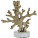Brass Coral 10.75 X 10.5 inch Candleholder