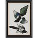 Audubon Collection Group 20.75 X 14.75 inch Giclee, I-B