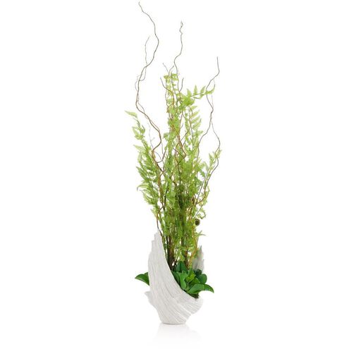 Winged Fern Garden Botanical, Botanical/Floral