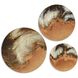 Jovian Tempest Accent Wall Decor, Set of 3