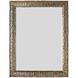 Mojave 55 X 42.5 inch Gold Mirror
