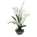 Black Bamboo & Orchids Botanical/Floral