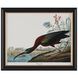 Audubon Collection Group 23 X 19 inch Giclee, II-C