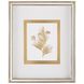 Botanicals VII Golden Wall Decor, Giclees