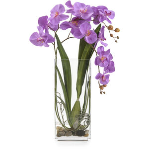 Deep Decorative Orchid