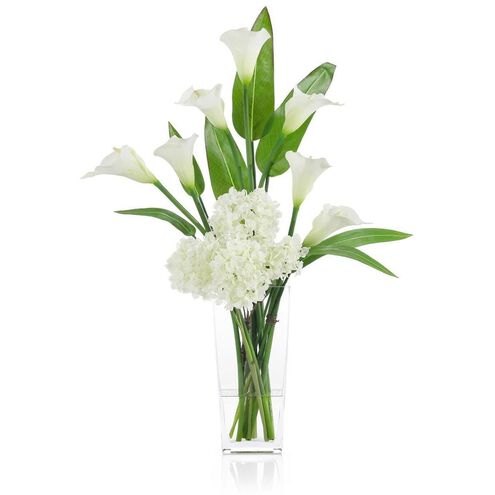 Callas and Pickerel Botanical, Fresh Water Look