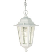 Outdoor Pendants / Chandeliers