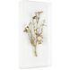 Gold Calcite Shadowbox, I