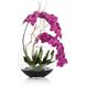 Asian Beauty Fresh Water Look