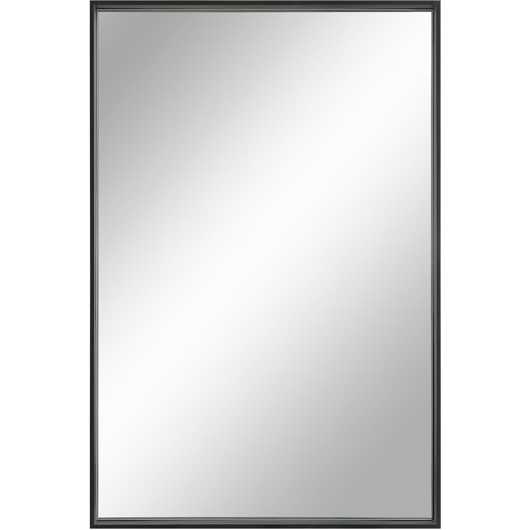Annalise 45 X 30 inch Clear and Matte Black Wall Mirror