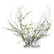 Swirling Branches Botanicals, Fresh Water Look