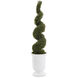 French Decorative Plant