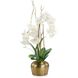 Golden Moon Floral