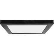 Flush Mounts